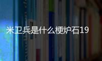 米卫兵是什么梗炉石1991